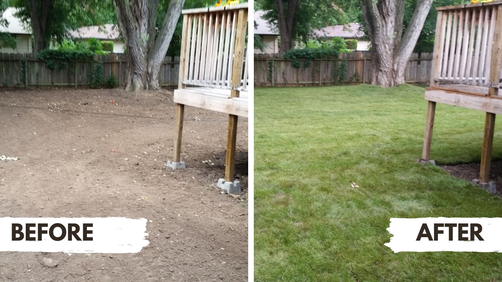 Tree and shrub care services in Derby, KS